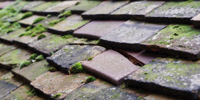 Bourton roof repair costs